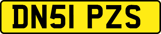DN51PZS