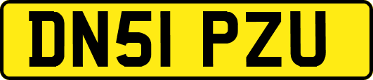 DN51PZU