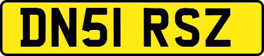 DN51RSZ