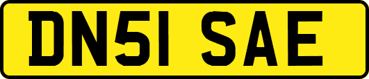 DN51SAE