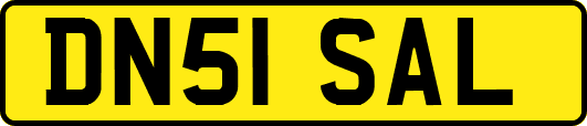 DN51SAL