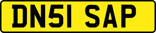 DN51SAP