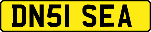 DN51SEA