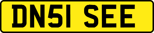 DN51SEE