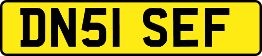 DN51SEF