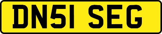 DN51SEG