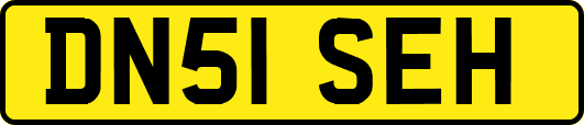 DN51SEH