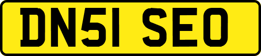 DN51SEO