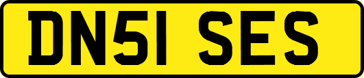 DN51SES