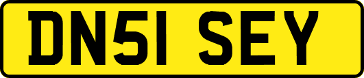 DN51SEY