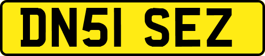 DN51SEZ