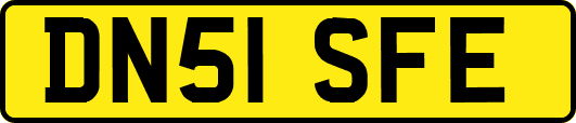 DN51SFE