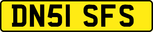 DN51SFS