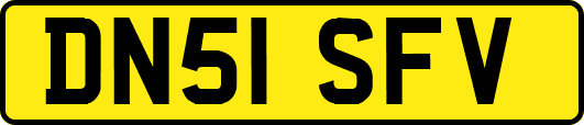 DN51SFV