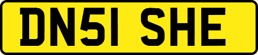 DN51SHE
