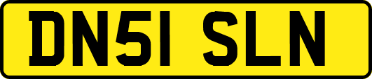 DN51SLN