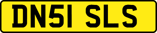 DN51SLS