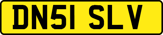 DN51SLV