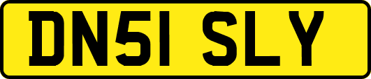 DN51SLY