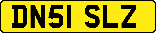 DN51SLZ