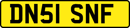 DN51SNF