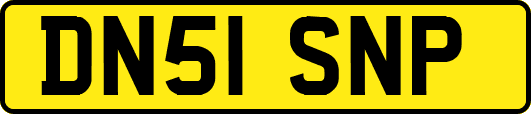 DN51SNP