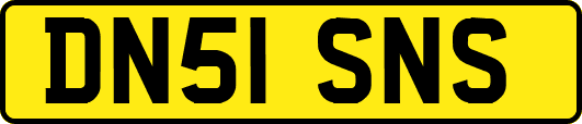 DN51SNS