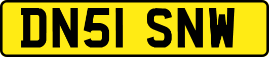 DN51SNW