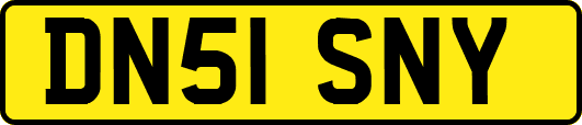 DN51SNY