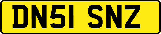 DN51SNZ