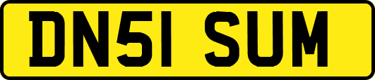 DN51SUM
