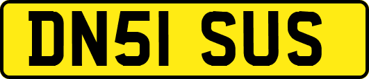 DN51SUS