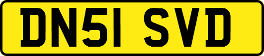 DN51SVD