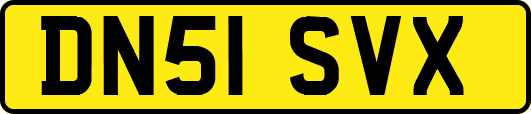 DN51SVX