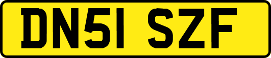 DN51SZF