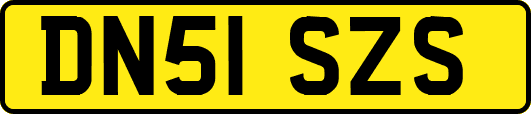 DN51SZS