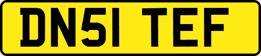 DN51TEF