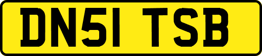 DN51TSB