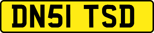 DN51TSD