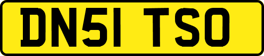 DN51TSO