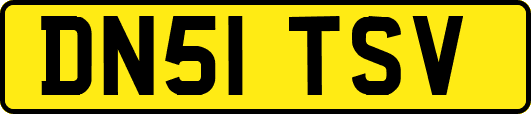 DN51TSV