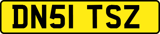 DN51TSZ