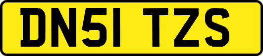 DN51TZS