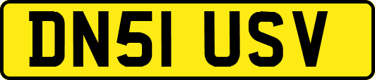 DN51USV