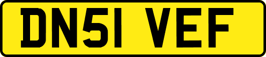 DN51VEF