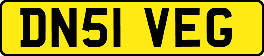 DN51VEG