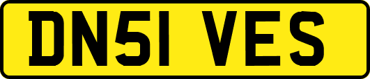 DN51VES