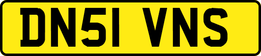 DN51VNS
