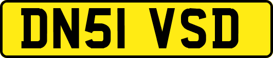 DN51VSD