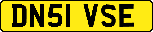 DN51VSE